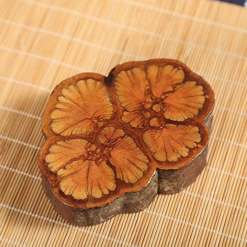 image-Passiflora Papilio Piece Coaster