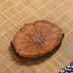 image-Passiflora Papilio Piece Coaster