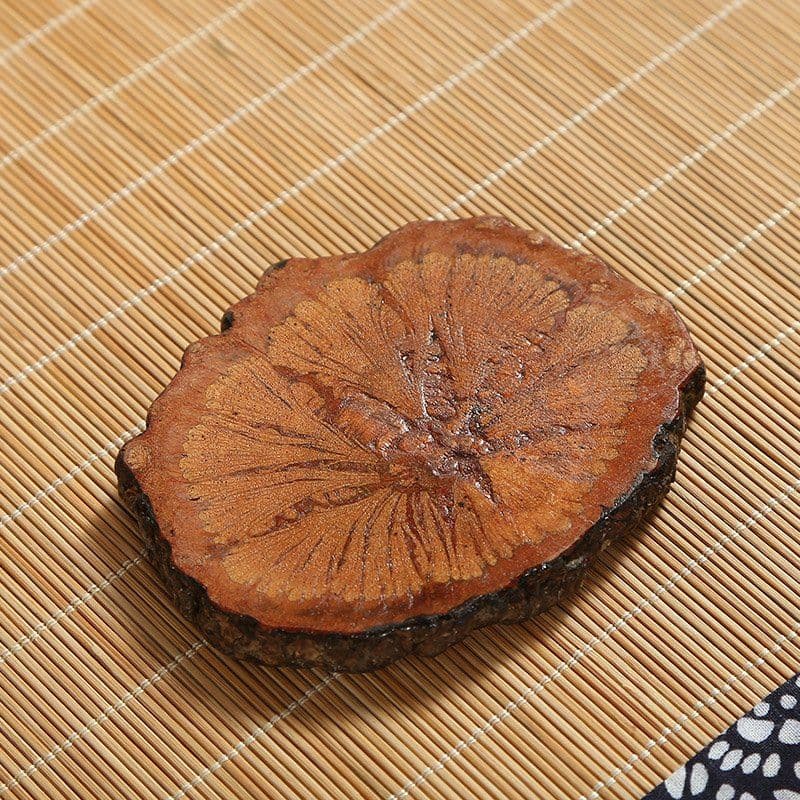image-Passiflora Papilio Piece Coaster