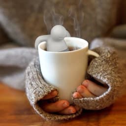 image-Mr. Tea Infuser
