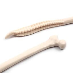 image-Human Bone Ballpoint Pen 5pcs
