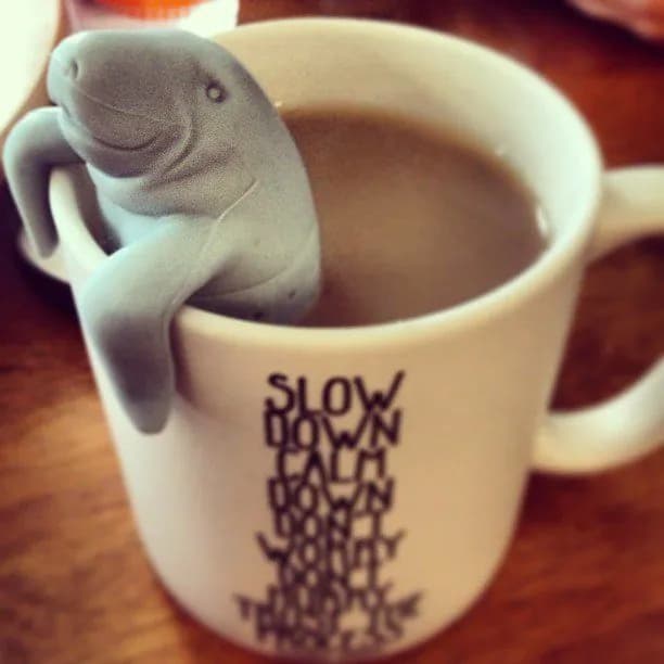 image-Manatea Tea Infuser