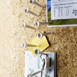 image-Golf Tee Pushpins