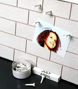 image-Golf Tee Pushpins
