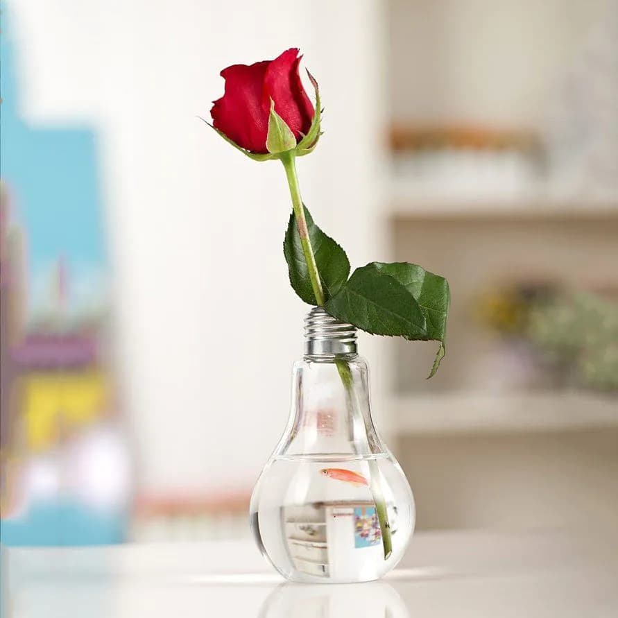 image-Bulb Flower pots