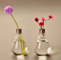 image-Bulb Flower pots