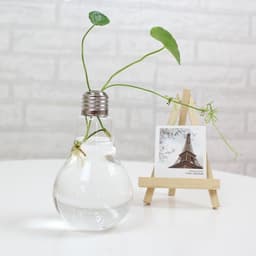 image-Bulb Flower pots