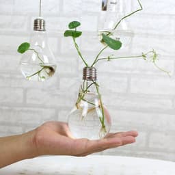 image-Bulb Flower pots