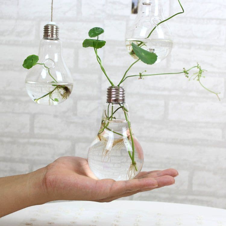 image-Bulb Flower pots