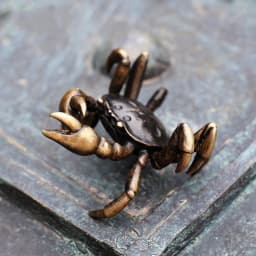 image-Brass Crab