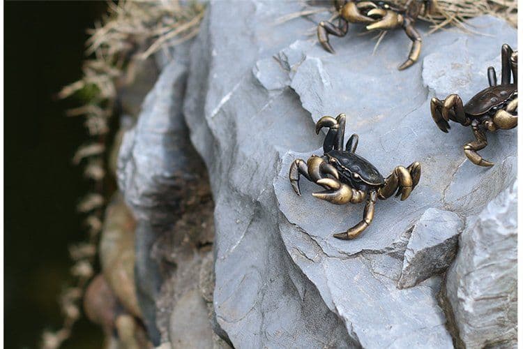 image-Brass Crab