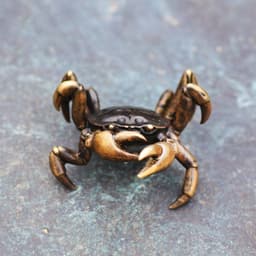 image-Brass Crab