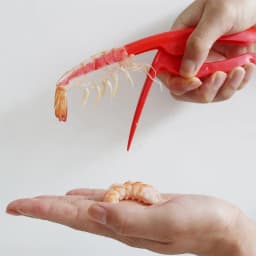image-Shrimp shucker