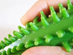 image-Cactus Pen
