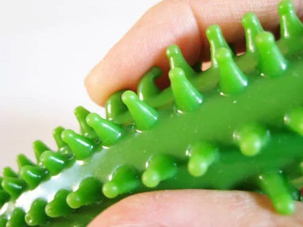 image-Cactus Pen