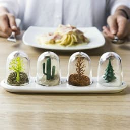 image-Four Seasons Seasoning Shaker