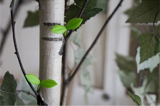 image-Sprout Little Green Bookmarks