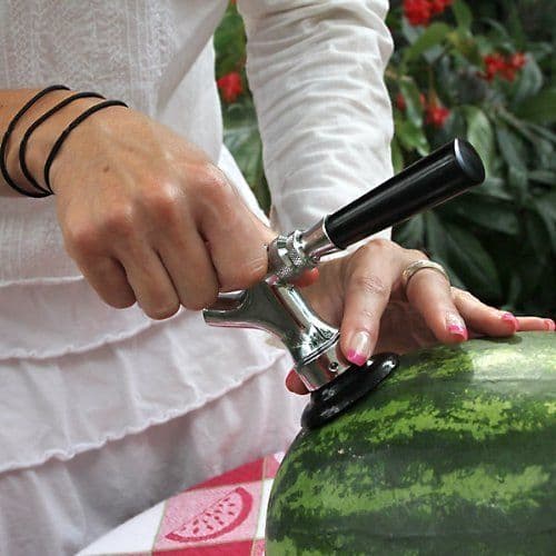 image-Draft Beer Faucet and Beer Shank Kit