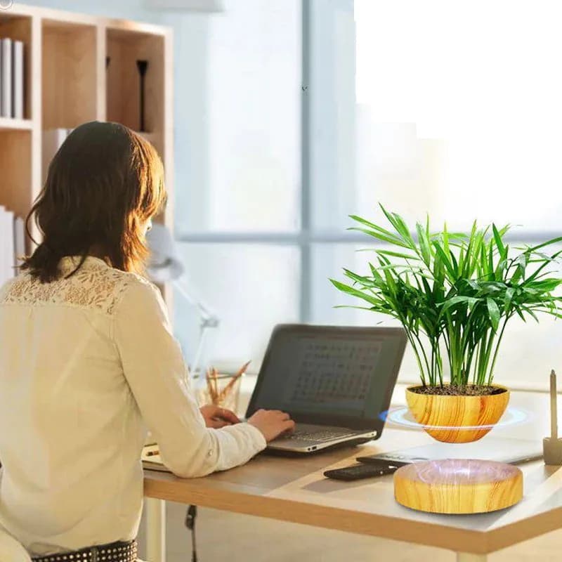 image-Levitating Plant Holder