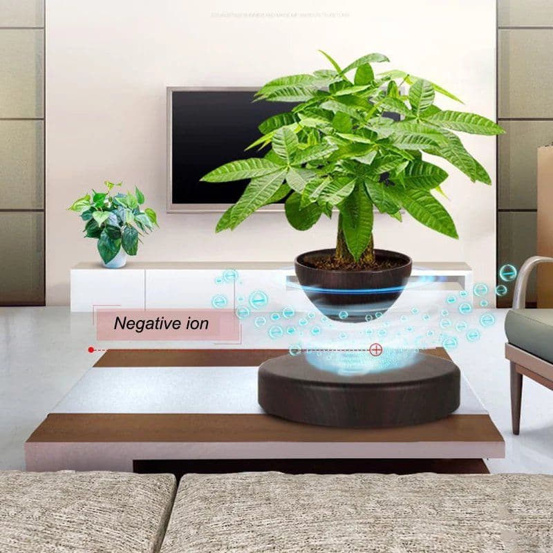 image-Levitating Plant Holder