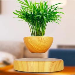 image-Levitating Plant Holder