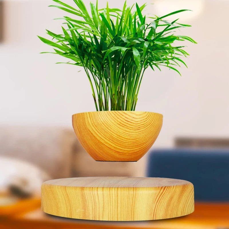 image-Levitating Plant Holder