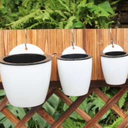 image-Self Watering Hanging Basket