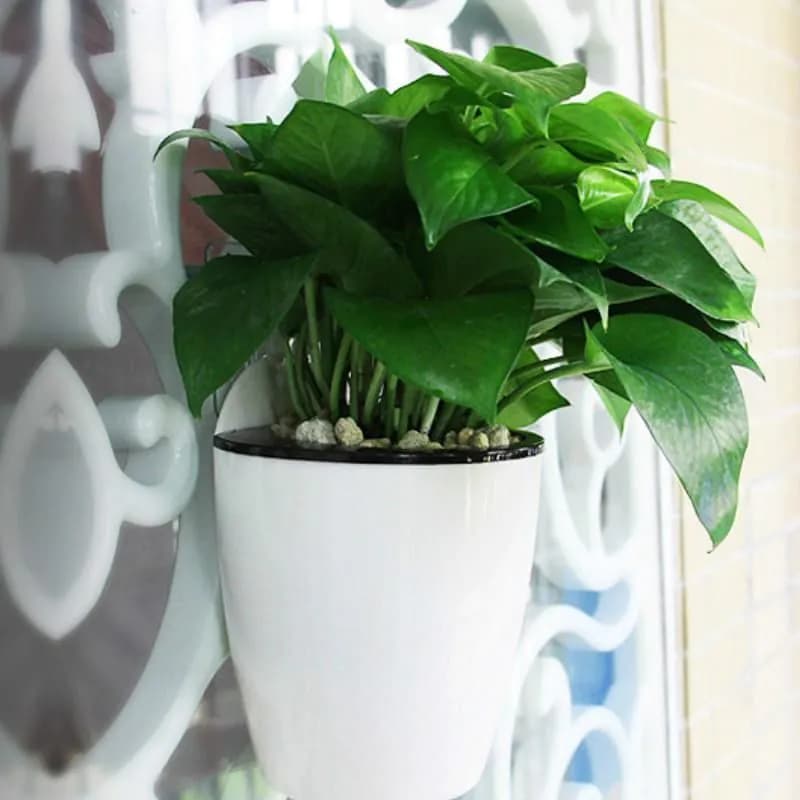 image-Self Watering Hanging Basket