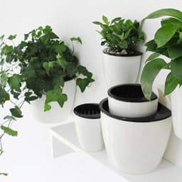 image-Self Watering Hanging Basket