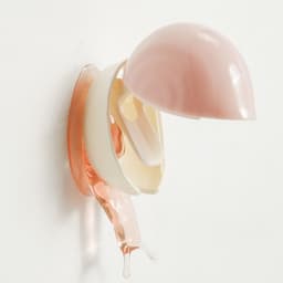 image-Snail Toothbrush Holder