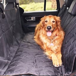 image-Dog Seat Covers