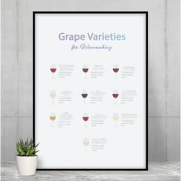 image-Grape Varieties for Winemaking Poster Room Decor