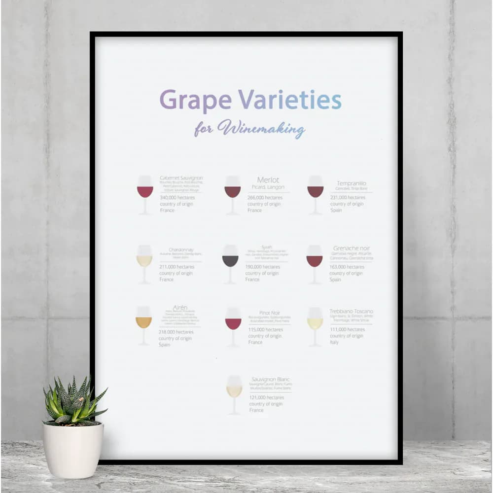 image-Grape Varieties for Winemaking Poster Room Decor