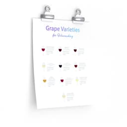 image-Grape Varieties for Winemaking Poster Room Decor