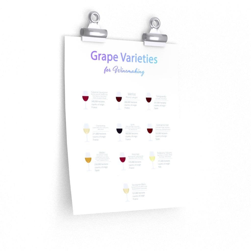 image-Grape Varieties for Winemaking Poster Room Decor