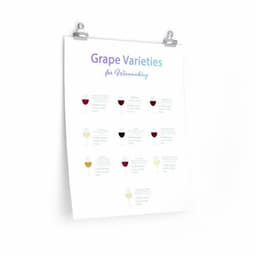 image-Grape Varieties for Winemaking Poster Room Decor