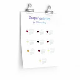 image-Grape Varieties for Winemaking Poster Room Decor