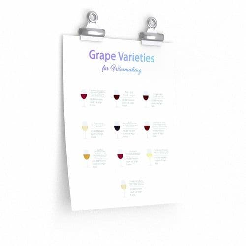 image-Grape Varieties for Winemaking Poster Room Decor