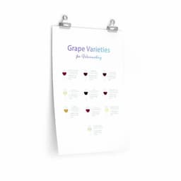 image-Grape Varieties for Winemaking Poster Room Decor