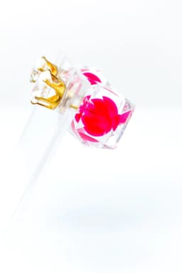 image-Studs - Glaciers