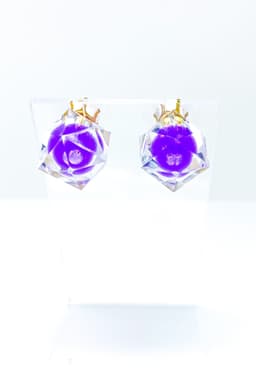 image-Studs - Glaciers