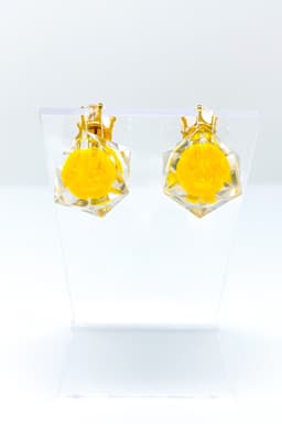 image-Studs - Glaciers