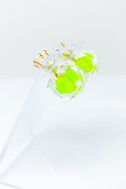 image-Studs - Glaciers