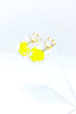 image-Studs - Glaciers