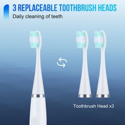 image-Newest Electric Toothbrushes Dental Scaler for Adults USB Charging
