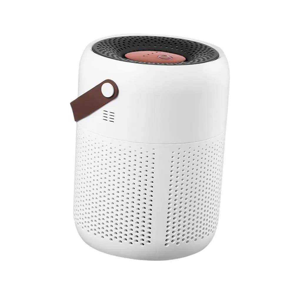 image-Air Purifier with True HEPA Filters Adjustable Modes Protable for