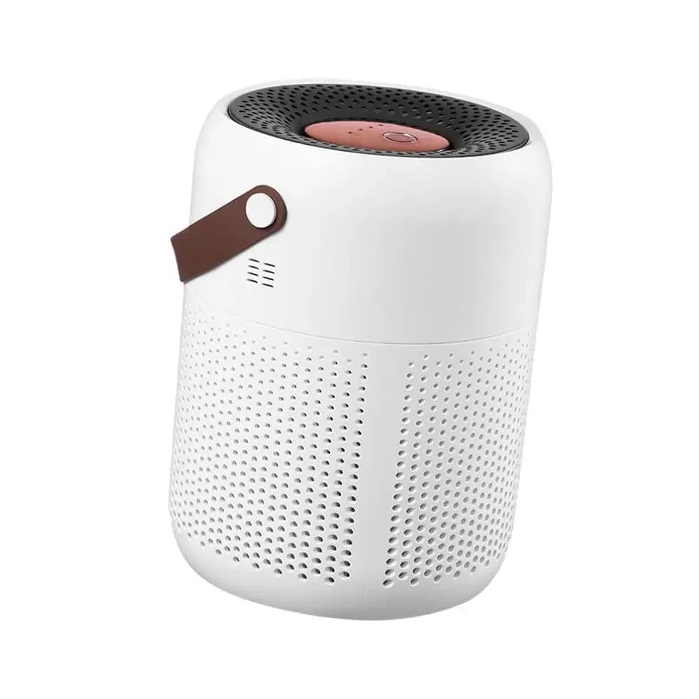 image-Air Purifier with True HEPA Filters Adjustable Modes Protable for