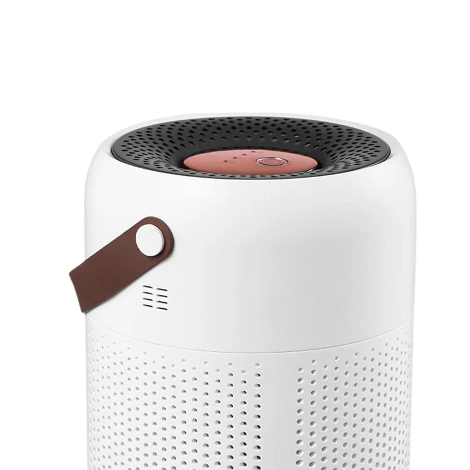 image-Air Purifier with True HEPA Filters Adjustable Modes Protable for