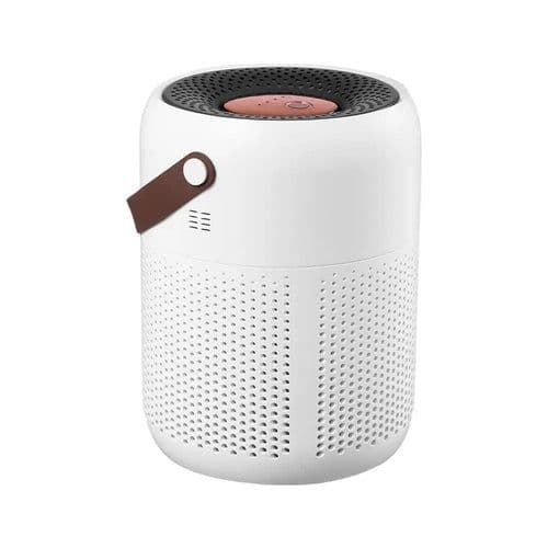 image-Air Purifier with True HEPA Filters Adjustable Modes Protable for