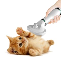 image-Pet Comb Hair Dryer